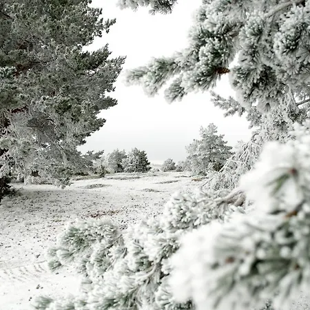Sierra De דירה *